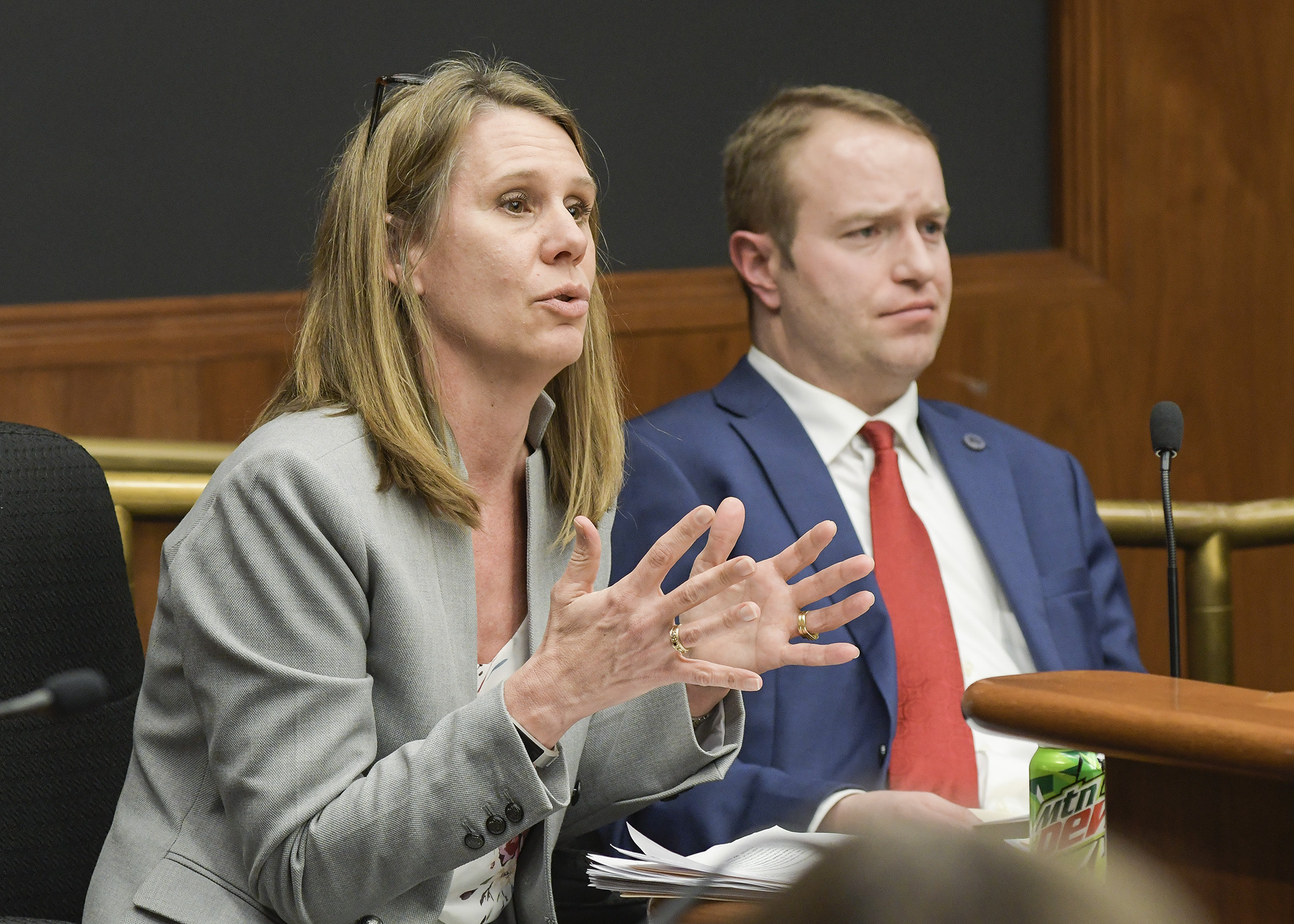 Jeanette Boerner, first assistant public defender for Hennepin County, testifies before the House Transportation and Regional Governance Policy Committee March 14 in support of HF3356. Photo by Andrew VonBank